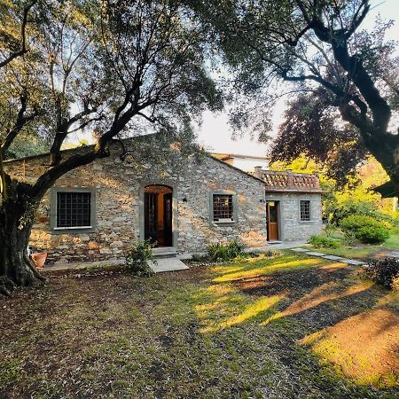 Villa La Casina Di Susy Seravezza Esterno foto